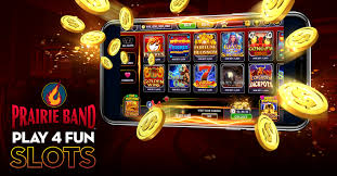 Cashback Program